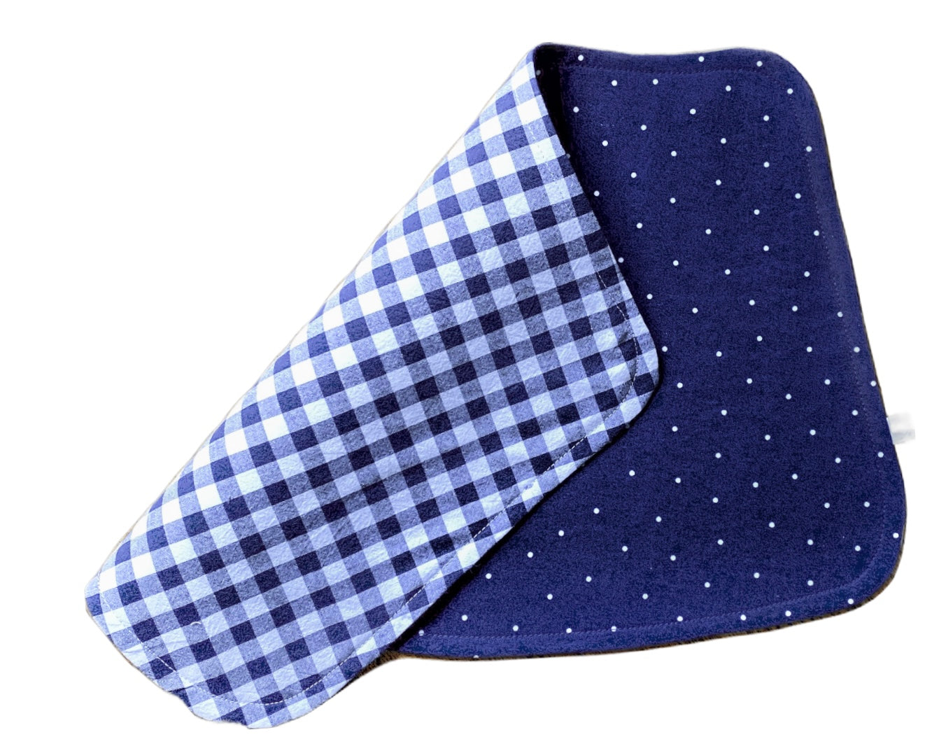Perfect Curve Placemats, (Set of 2) - Polka Dot Navy Gingham